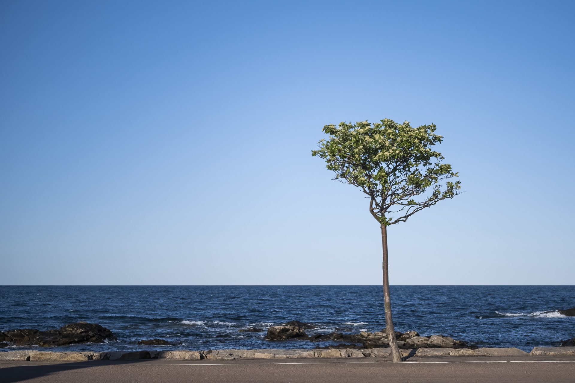 Køkken og spisestue